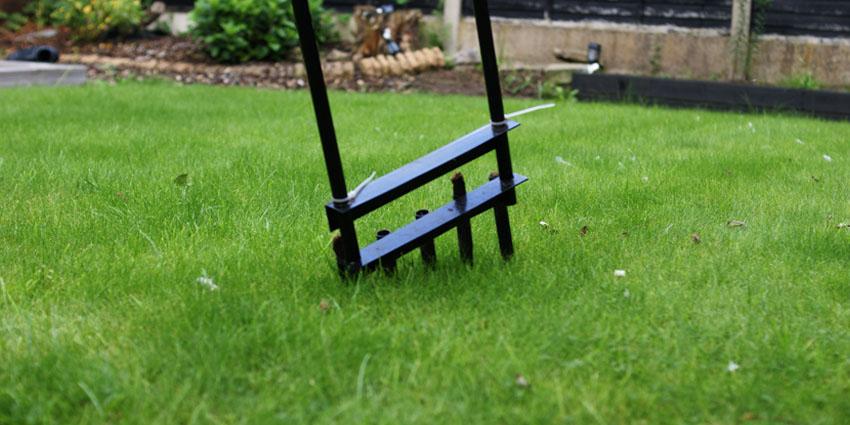 Autumn Lawn Care Tasks : Updated For 2024