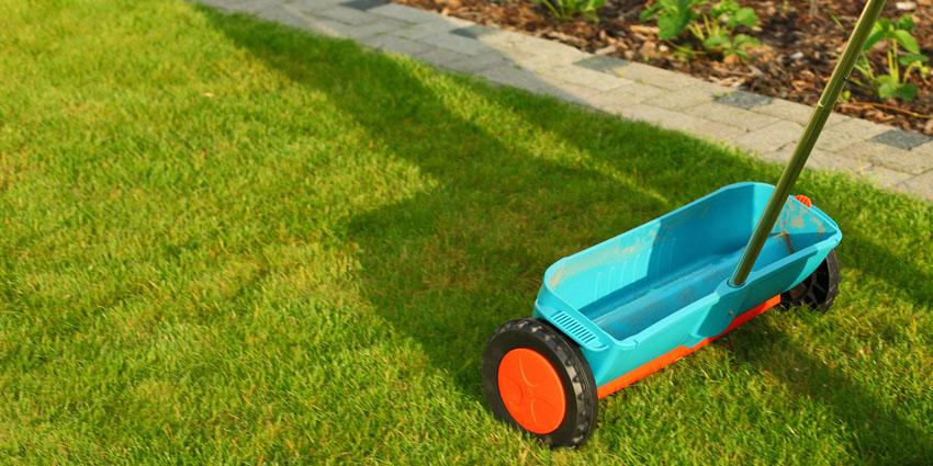 Best spreader settings for Grass Seed & Lawn Feed