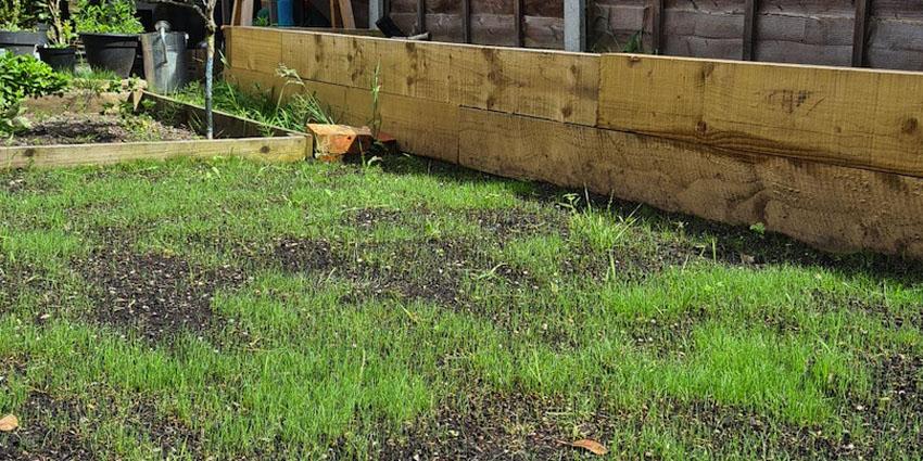 Seeding Grass From Scratch - The EASY Way