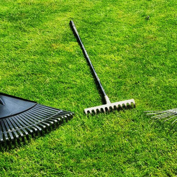 Choosing a Lawn Scarifier - Comparing the Best