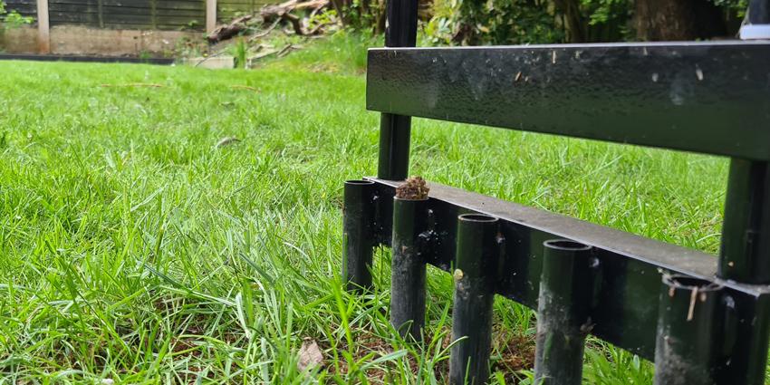 How & When to Aerate your lawn