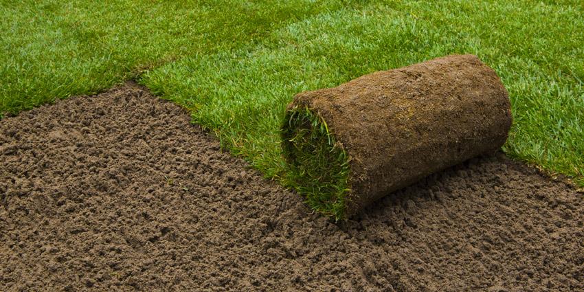 Preparing the ground & soil for turf