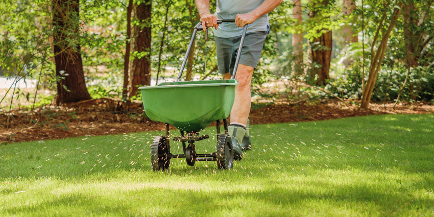 Man overseeding lawn with large broadcast spreader