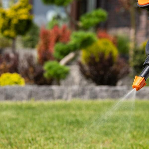 Best Knapsacks, Sprayers or Sprinkle Bars for Lawn Feed, Fertiliser & Weed Killer