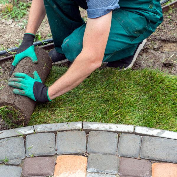 How & When to lay turf - Some Simple DIY Steps