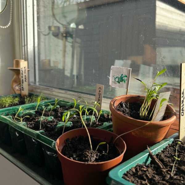 How to design the longest-lasting flower bed that costs next to NOTHING