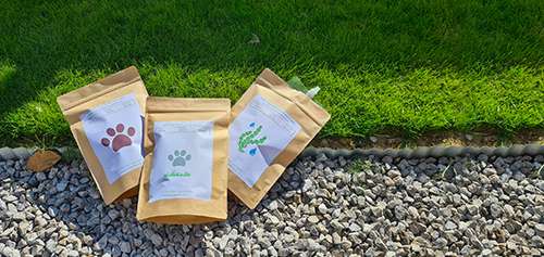 100% Organic Gardening – how to keep your plants Thriving