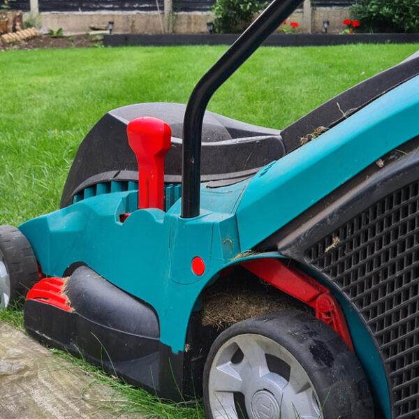 My TOP Lawn Care Tips