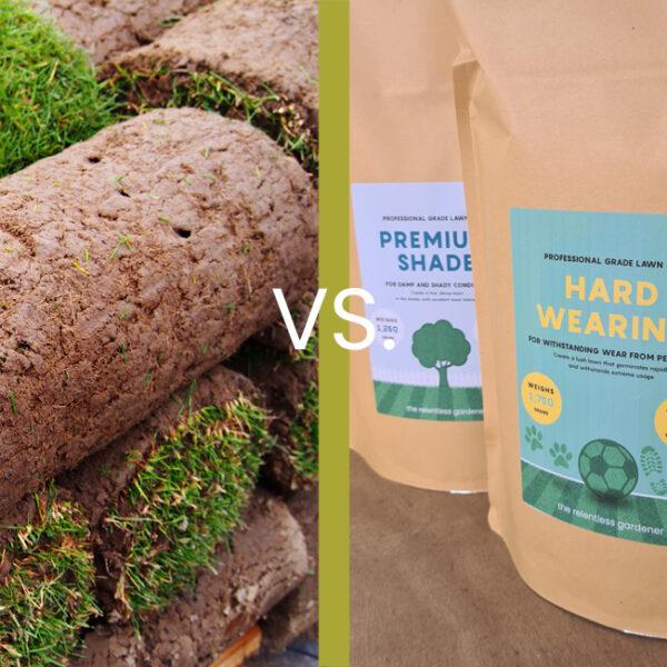 Turf vs Seed : Pros and Cons with Price Comparison