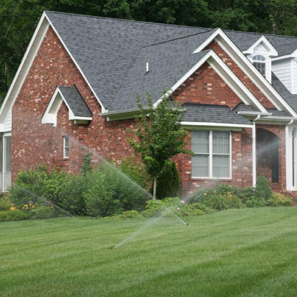 Wetting Agents! Whaaat - Do they really work?