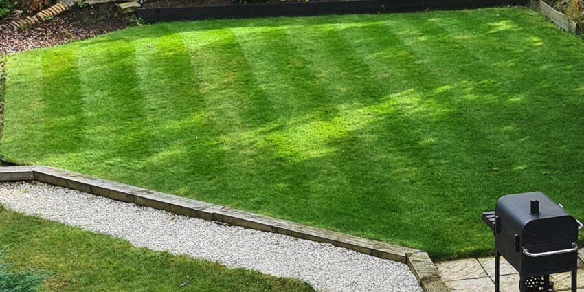 My Lawn Care Diary: October 2021