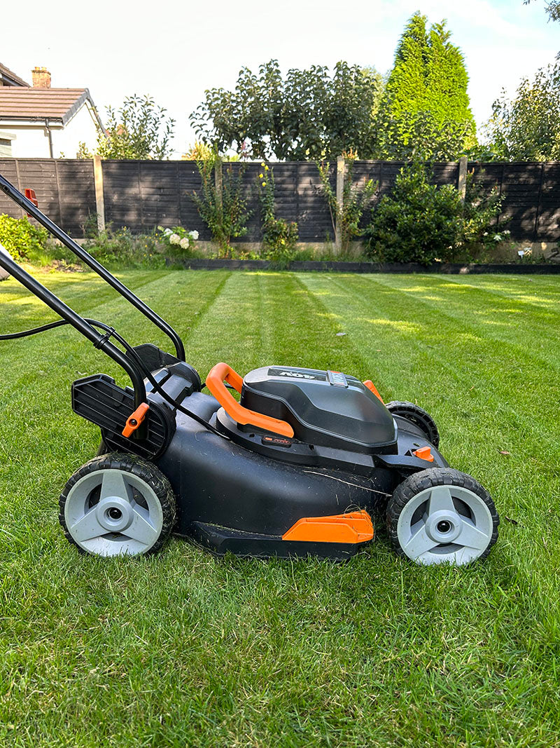 My Spring 2026 Lawn Care Plan
