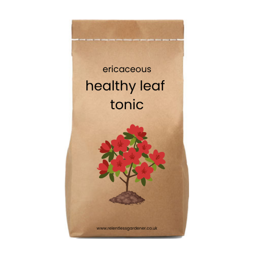 Ericaceous 'Healthy Leaf' Tonic For Acid Lovers