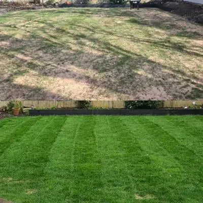 Comparison of a grassy area before and after lawn feed and grass seed.
