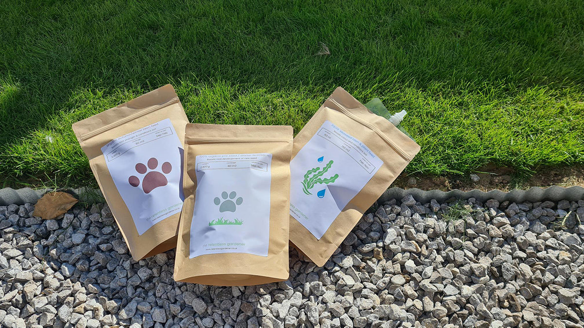 Three eco-friendly paper bags with autumn lawn feed, pre seed and liquid feed