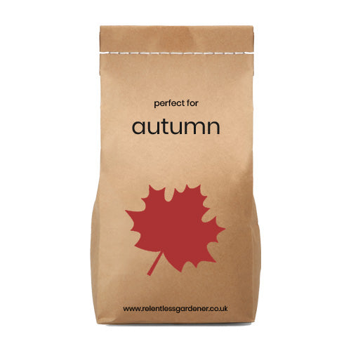 Brown paper bag with a red leaf design and text 'premium autumn lawn feed' by The Relentless Gardener on a white background
