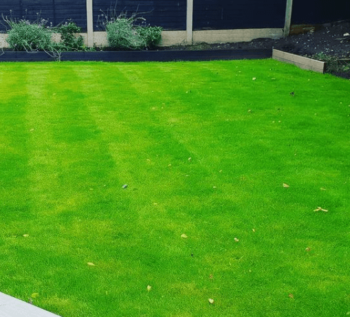 Lawn Care with Fertiliser