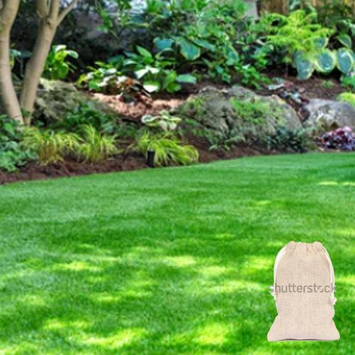 Shady Lawn Grass Seed Kit