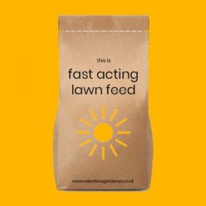 Fast Acting Spring Summer Lawn Feed Fertiliser UK