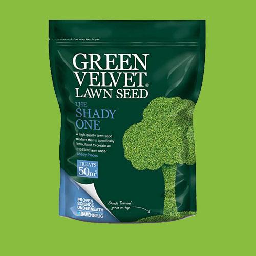 Grass Seed for Shade Green Velvet
