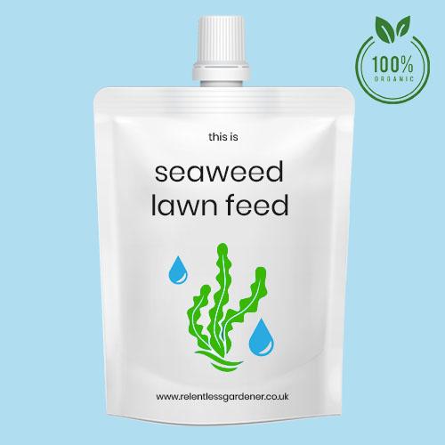 Organic Seaweed Liquid Lawn Feed UK