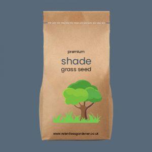 Premium Shade Grass Seed