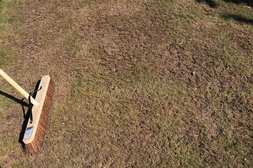 How to level a lawn a bumpy lawn by hand with sand topsoil mix TRG