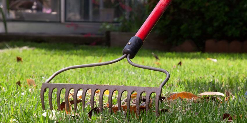 How To prepare Your Lawn For Winter with ONE TASK