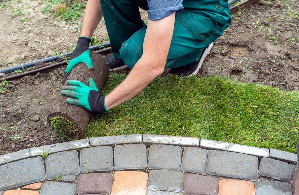 Best time to lay turf discount