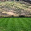 Autumn Lawn Before and After copy