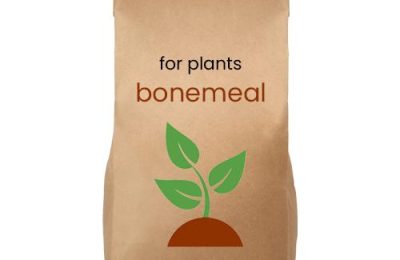 Bonemeal Plant Fertiliser