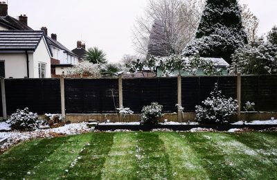 Clearing Snow off lawn in Winter