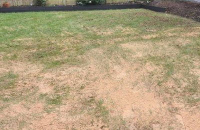 Spreading Specialist Base Lawn Sand